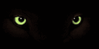 roar!